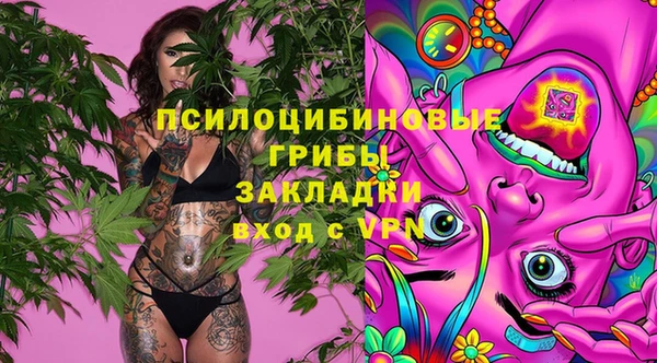 молекула духа Баксан